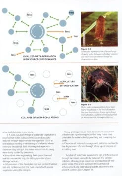 Water Vole Conservation Handbook -Rode Sales Store 196267 3