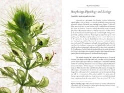 Aldrovanda 9 Aldrovanda -Rode Sales Store 196365 3