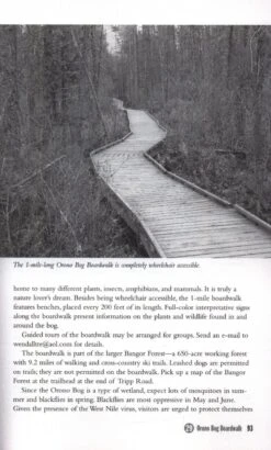 Birding Maine -Rode Sales Store 197919 3