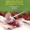Catalogue Of Eggs (Aves) In The National Zoological Collection Of The Zoological Survey Of India Part I