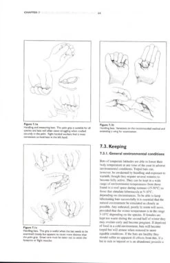 The Bat Workers' Manual -Rode Sales Store 198731 20