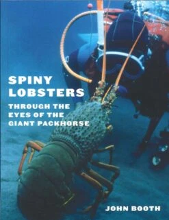Spiny Lobsters