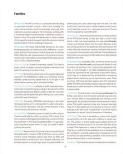 The Sea Shells Of Greece -Rode Sales Store 200464 3