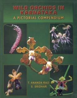 Wild Orchids In Karnataka