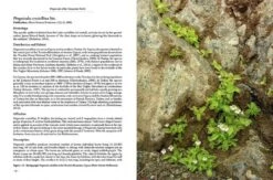 Pinguicula Of The Temperate North 17 Pinguicula Of The Temperate North -Rode Sales Store 204408 04