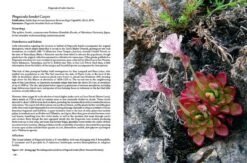 Pinguicula Of Latin America -Rode Sales Store 204410 09