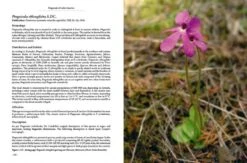 Pinguicula Of Latin America -Rode Sales Store 204410 13