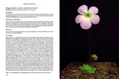 Pinguicula Of Latin America -Rode Sales Store 204410 14