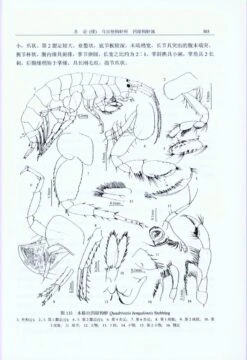 Fauna Sinica: Invertebrata, Volume 43: Crustacea: Amphipoda: Gammaridea (II) [Chinese] -Rode Sales Store 204678 2