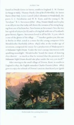 Yew 9 Yew -Rode Sales Store 206458 3