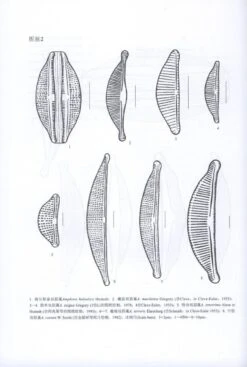 Flora Algarum Sinicarum Aquae Dulcis, Volume 16: Bacillariophyta: Cymbellaceae [Chinese] -Rode Sales Store 206934 2