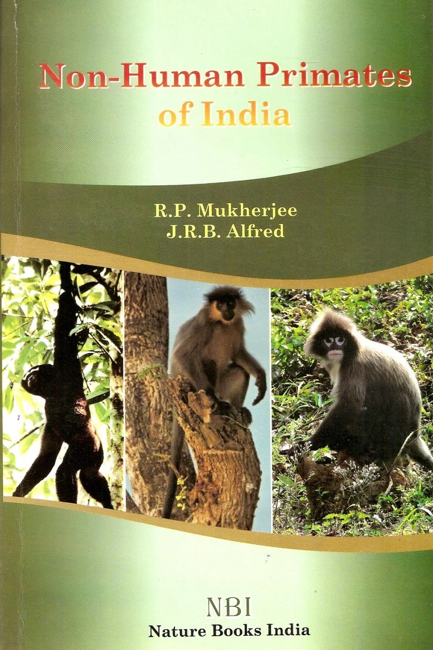Non-Human Primates Of India 1 Non-Human Primates Of India