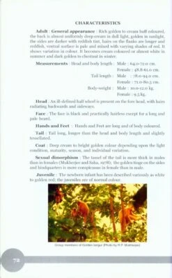 Non-Human Primates Of India 8 Non-Human Primates Of India -Rode Sales Store 207415 3