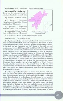 Non-Human Primates Of India 9 Non-Human Primates Of India -Rode Sales Store 207415 4