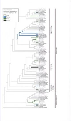 The Ornaments Of Life 12 The Ornaments Of Life -Rode Sales Store 207443 4