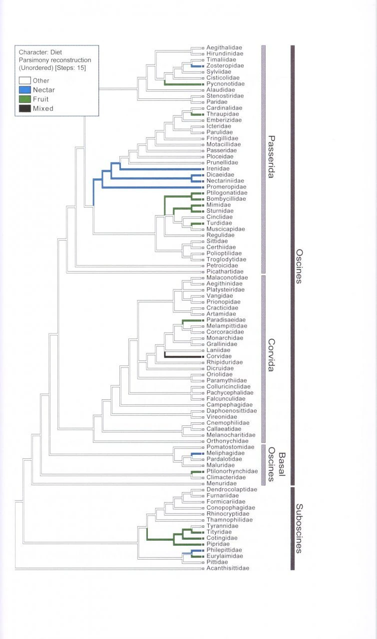 The Ornaments Of Life 6 The Ornaments Of Life - Image 6