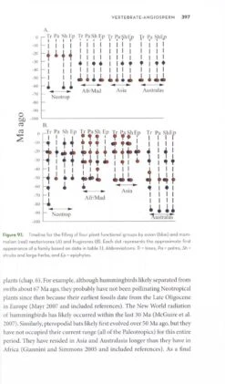 The Ornaments Of Life 13 The Ornaments Of Life -Rode Sales Store 207443 5