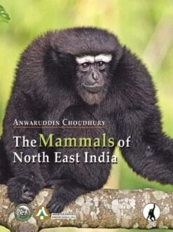 The Mammals Of North East India