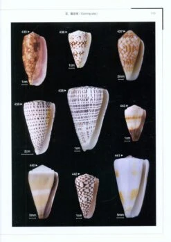 Color Atlas Of Economic Molluscs From The South China Sea [Chinese] -Rode Sales Store 207826 2