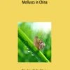Research Materials Of Terrestrial Molluscs In China