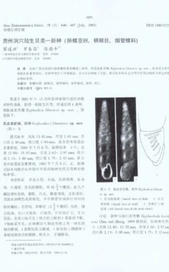 Research Materials Of Terrestrial Molluscs In China -Rode Sales Store 207830 2