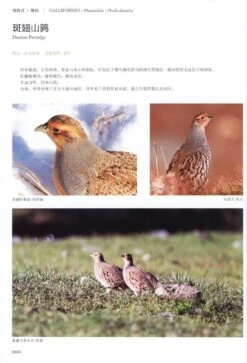 Field Guide To The Birds Of China (3-Volume Set) [Chinese] -Rode Sales Store 208109 4