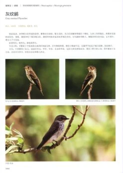 Field Guide To The Birds Of China (3-Volume Set) [Chinese] -Rode Sales Store 208109 9