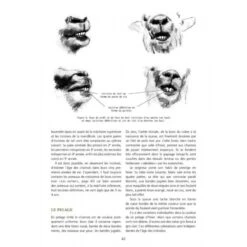 Le Chamois: Biologie Et Écologie, Études Dans Le Massif Des Bauges [The Chamois: BIology And Ecology, Studies In The Bauges Mountains] -Rode Sales Store 208816 4