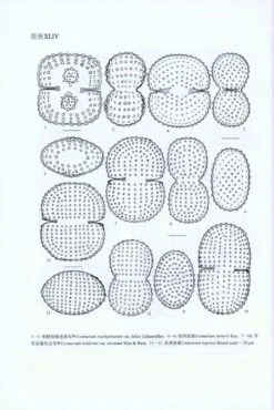 Flora Algarum Sinicarum Aquae Dulcis, Volume 17: Chlorophyta: Desmidiales Desmidiaceae, Sectio II: Actinotaenium, Cosmarium, Cosmocladium [Chinese] -Rode Sales Store 208879 3