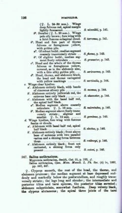 The Fauna Of British India, Hymenoptera (2-Volume Set) -Rode Sales Store 208912 2