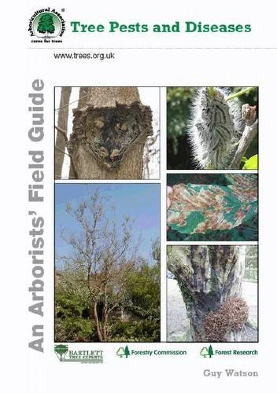 Tree Pests And Diseases 1 Tree Pests And Diseases