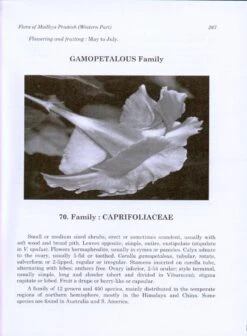 Flora Of Madhya Pradesh (Western Part) 7 Flora Of Madhya Pradesh (Western Part) -Rode Sales Store 209171 2