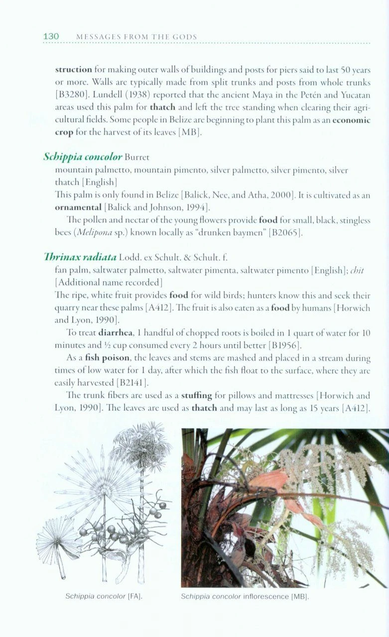 Messages From The Gods 3 Messages From The Gods - Image 3