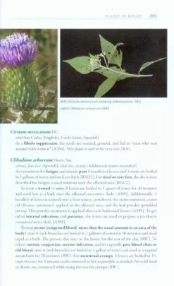 Messages From The Gods 9 Messages From The Gods -Rode Sales Store 210188 2