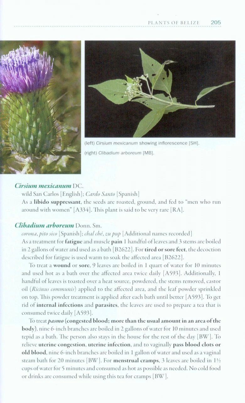 Messages From The Gods 4 Messages From The Gods - Image 4