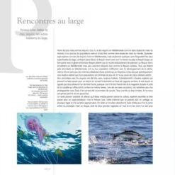 Cétacés En Méditerranée -Rode Sales Store 211443 4