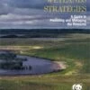 Statewide Wetlands Strategies
