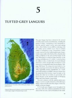 Sri Lankan Primates 9 Sri Lankan Primates -Rode Sales Store 212014 4