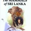 The Mammals Of Sri Lanka