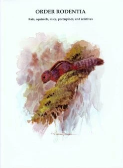 The Mammals Of Sri Lanka -Rode Sales Store 212419 02