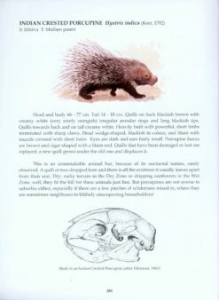 The Mammals Of Sri Lanka -Rode Sales Store 212419 03