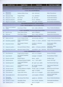 The Mammals Of Sri Lanka -Rode Sales Store 212419 13