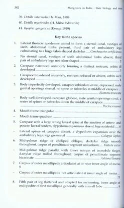 Mangroves Of India -Rode Sales Store 213077 3