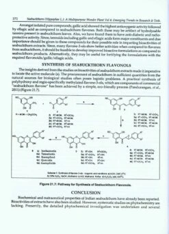 Seabuckthorn (Hippophae L.): A Multipurpose Wonder Plant, Volume 4: Emerging Trends In Research And Technologies -Rode Sales Store 213163 2