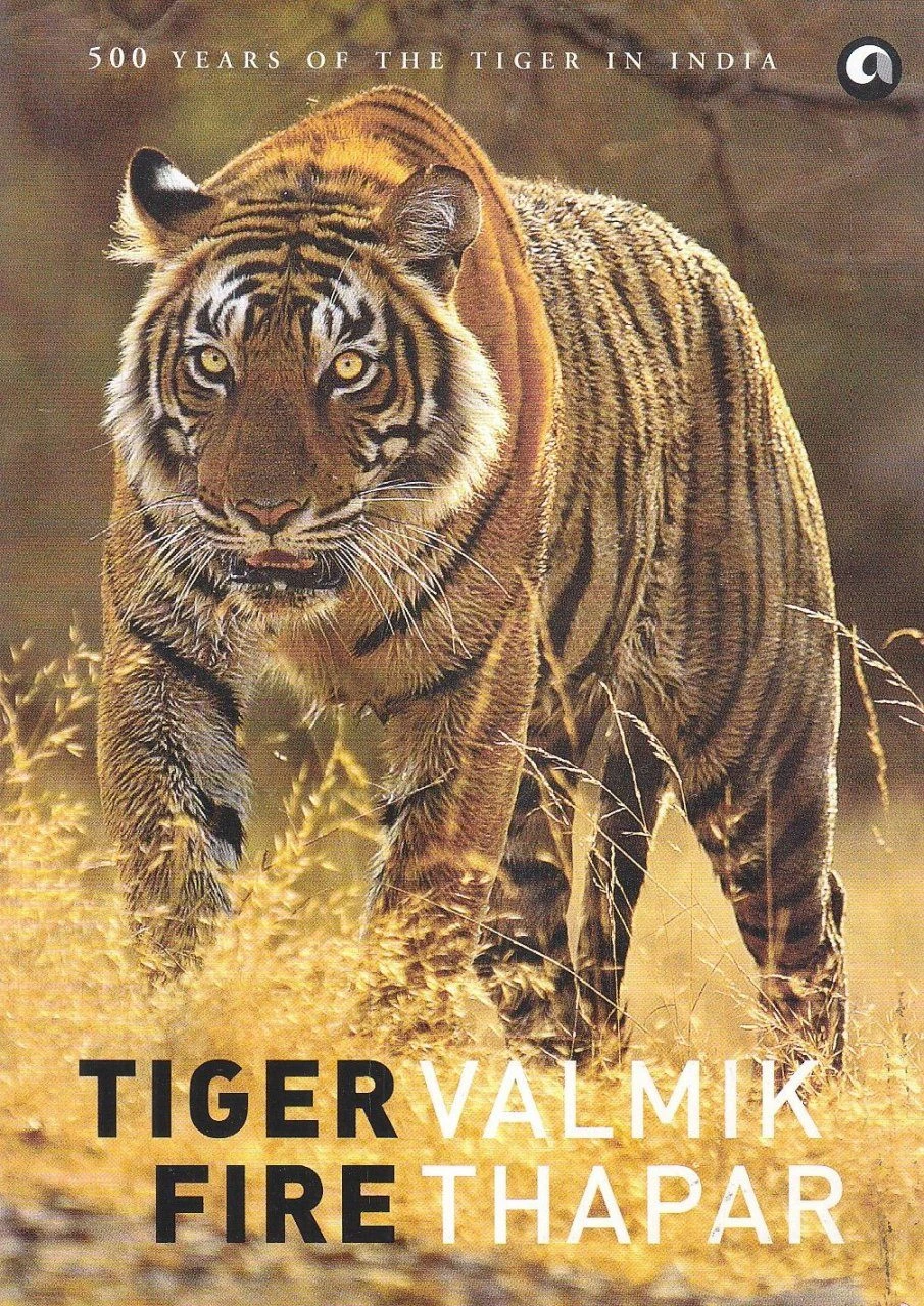 Tiger Fire 1 Tiger Fire