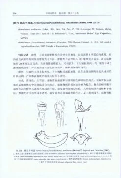 Fauna Sinica: Insecta, Volume 57: Orthoptera: Tettigoniidae: Phaneropterinae [Chinese] -Rode Sales Store 213717 2
