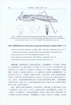 Fauna Sinica: Insecta, Volume 57: Orthoptera: Tettigoniidae: Phaneropterinae [Chinese] -Rode Sales Store 213717 3