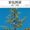 Color Atlas Of Air-Borne Pollens And Plants In China [Chinese]