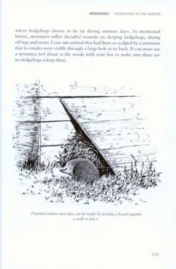 Hedgehogs -Rode Sales Store 213869 3