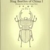 Stag Beetles Of China, Volume 1